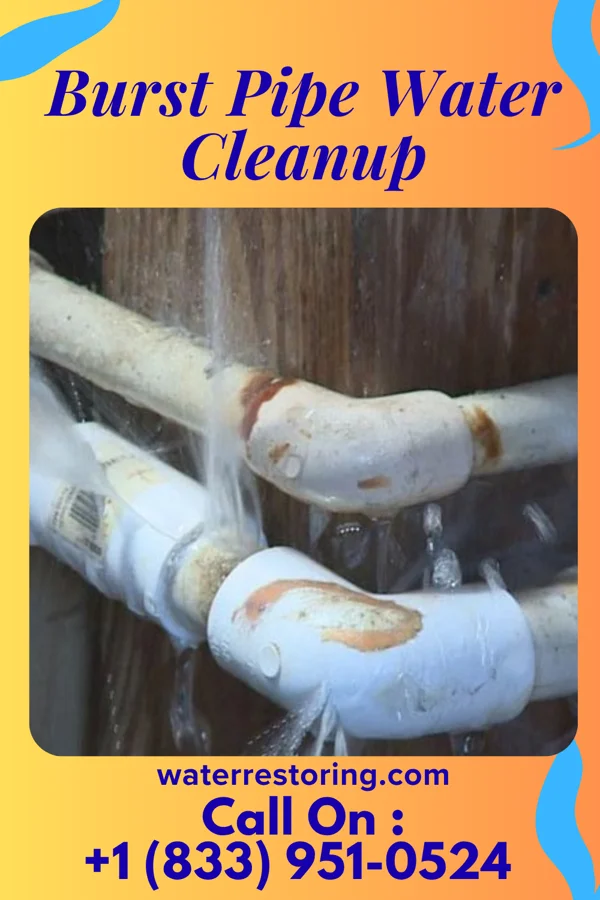Burst Pipe Water Cleanup in Moxee, WA